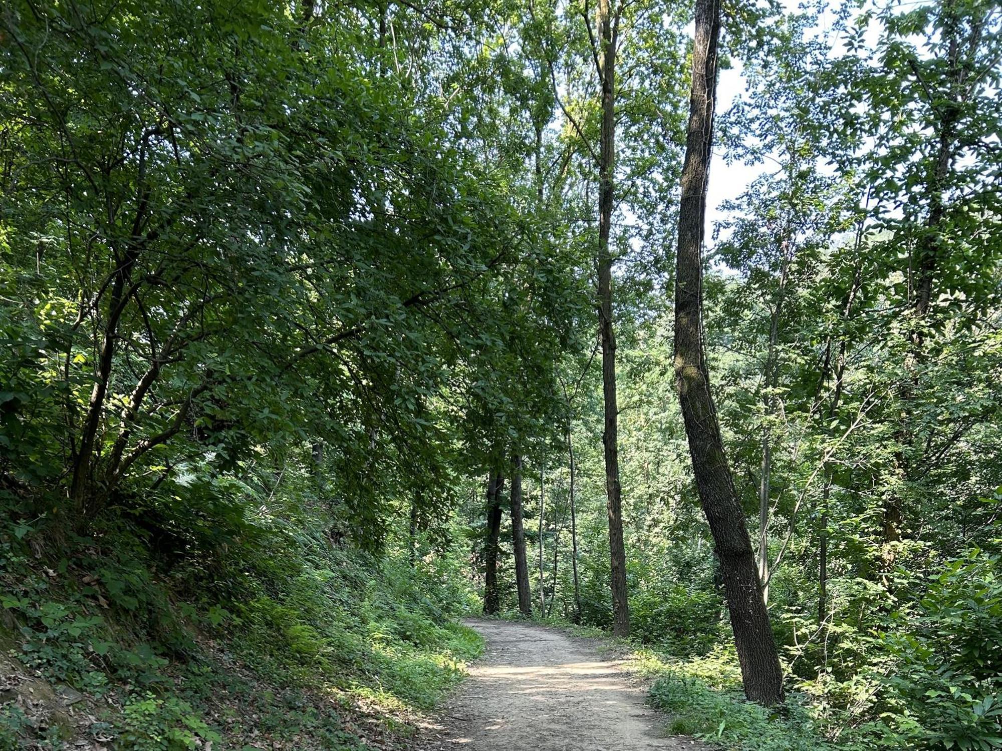 Appartamento Il Giardino Di Berbech Citta Alta-Ulivo Bergamo Esterno foto